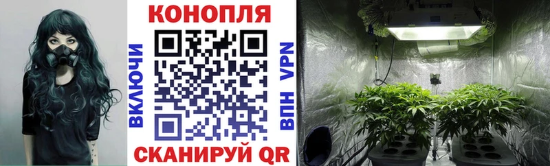Купить закладку АМФЕТАМИН  A PVP  Метамфетамин  Меф мяу мяу  Каннабис  ГАШИШ  Краснознаменск