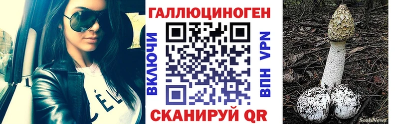 Псилоцибиновые грибы мицелий  Купить где  Краснознаменск 